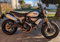 Ducati Scrambler 1100 (2018 - 20) usata