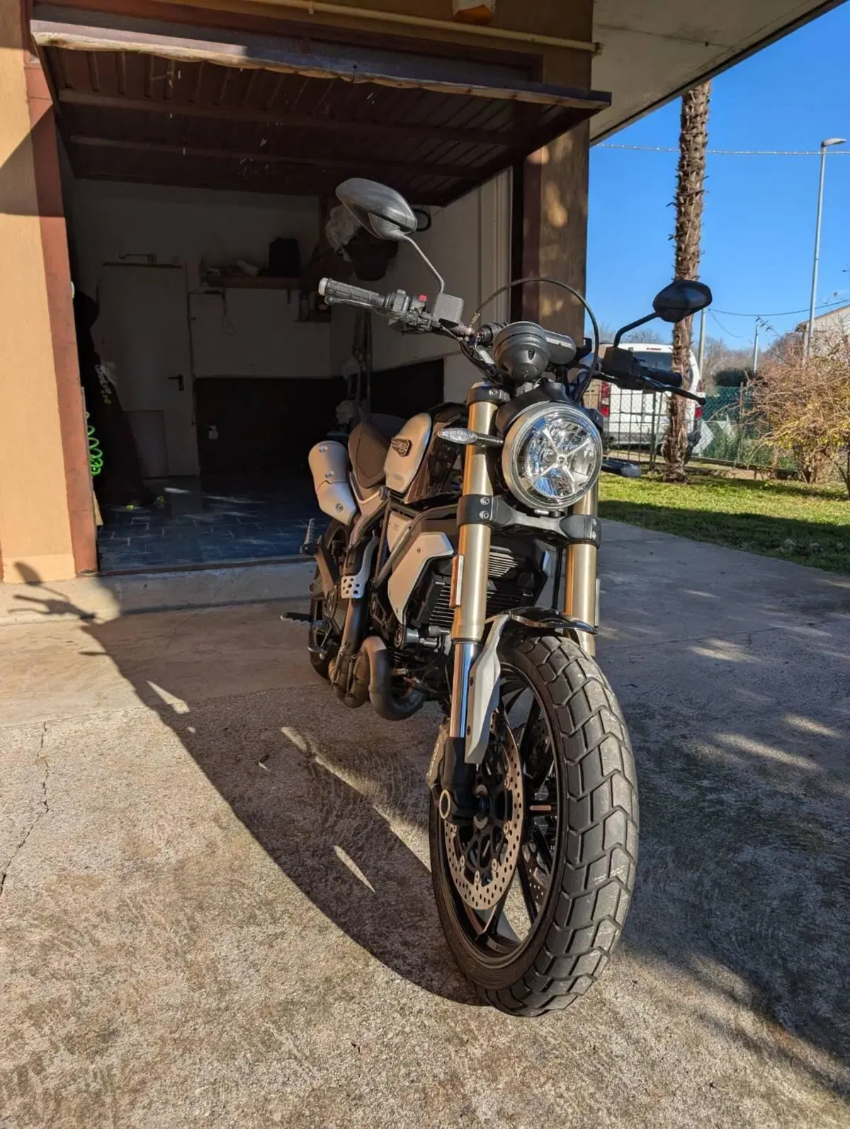 Ducati Scrambler 1100 (2018 - 20) (6)