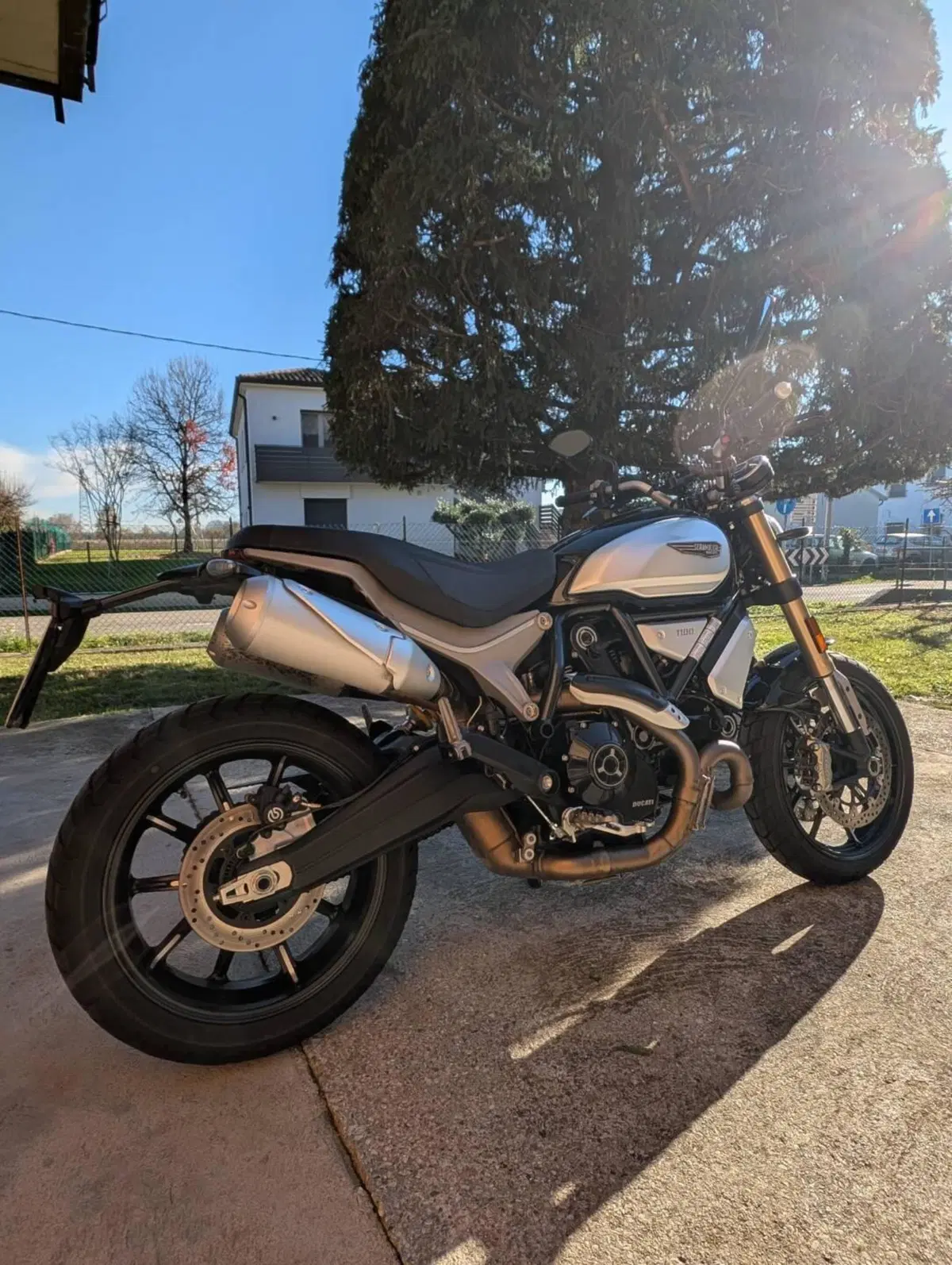 Ducati Scrambler 1100 (2018 - 20) (7)