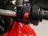 Ducati Multistrada V4 (2021 - 24) (15)