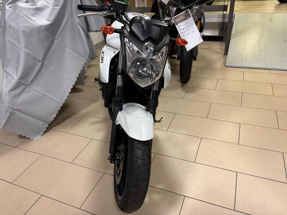 Yamaha XJ6 (2008 - 15) (3)