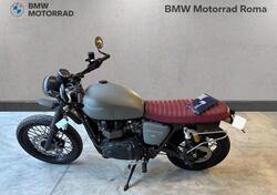 Triumph Scrambler (2006 - 17) usata
