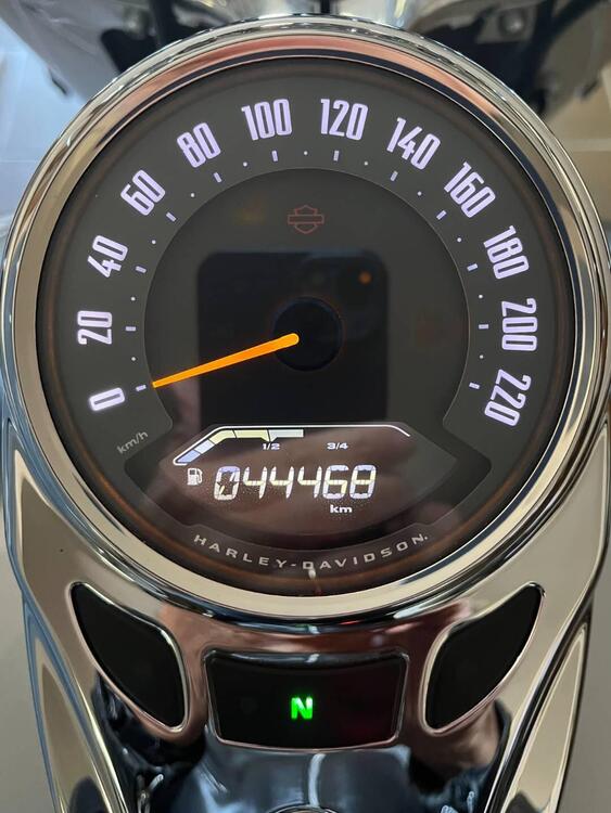 Harley-Davidson 107 Deluxe (2018 - 20) - FLDE (5)