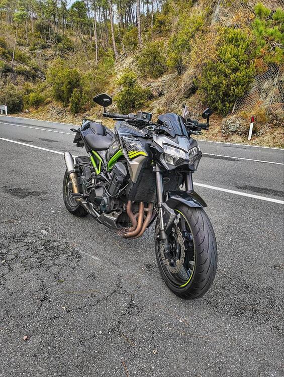 Kawasaki Z 900 (2020) (2)
