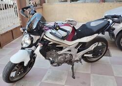 Suzuki Gladius 650 SFV (2009 - 15) usata