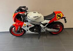 Yamaha XSR 900 GP (2024 - 26) usata