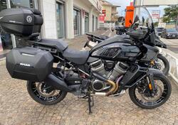 Harley-Davidson Pan America 1250 Special (2020 - 25) usata