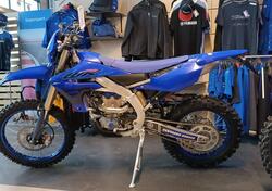 Yamaha WR 250 F (2025) nuova