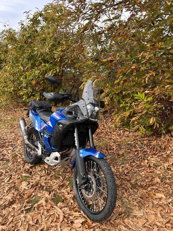 Yamaha Ténéré 700 World Rally (2023 - 25) (3)