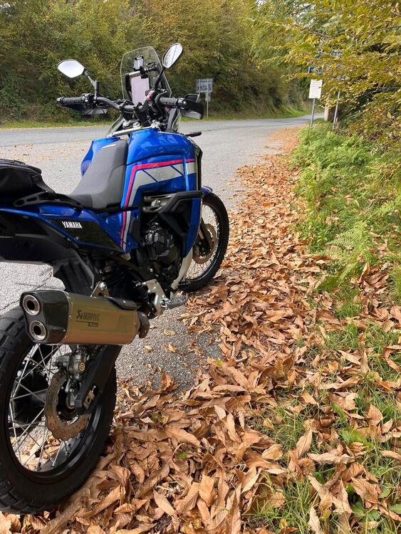 Yamaha Ténéré 700 World Rally (2023 - 25) (5)