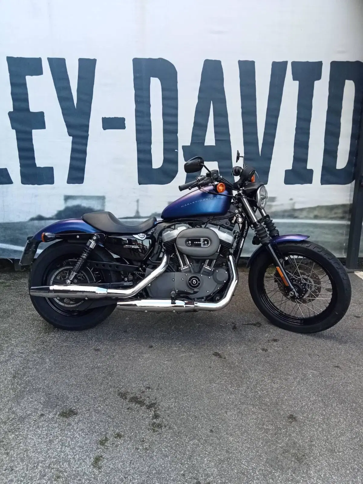 Harley-Davidson XL 1200N Nightster (2008 - 12)