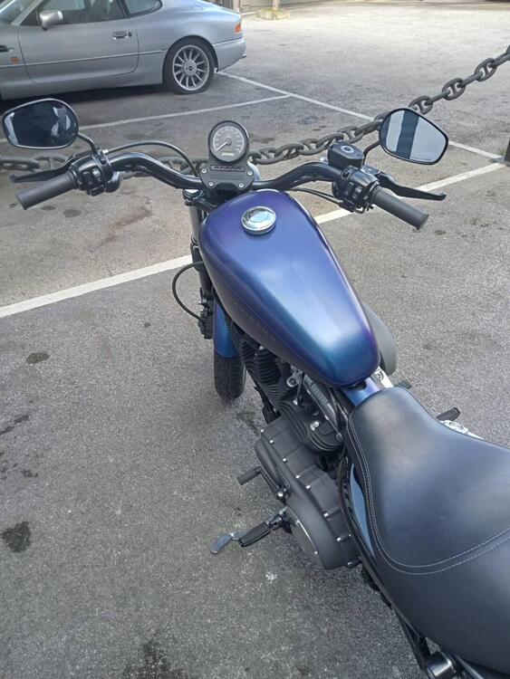 Harley-Davidson XL 1200N Nightster (2008 - 12) (3)