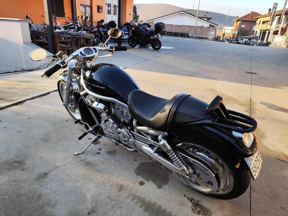 Harley-Davidson 1130 V-ROD (2002 - 05) - VRSCB (2)