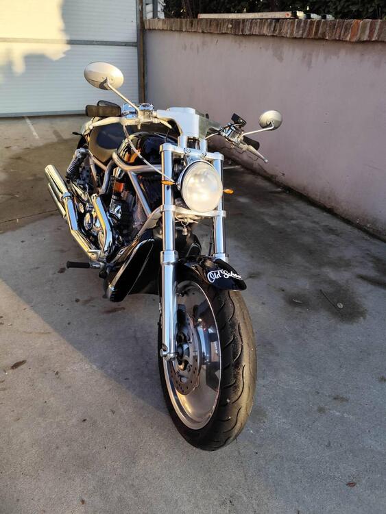 Harley-Davidson 1130 V-ROD (2002 - 05) - VRSCB (3)