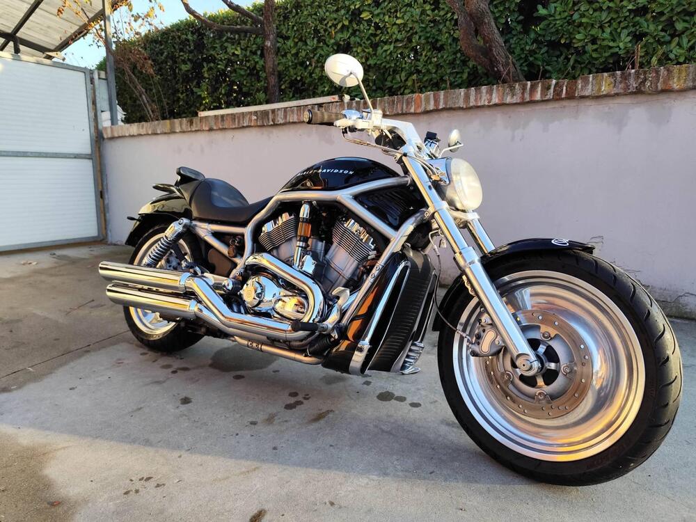 Harley-Davidson 1130 V-ROD (2002 - 05) - VRSCB (4)