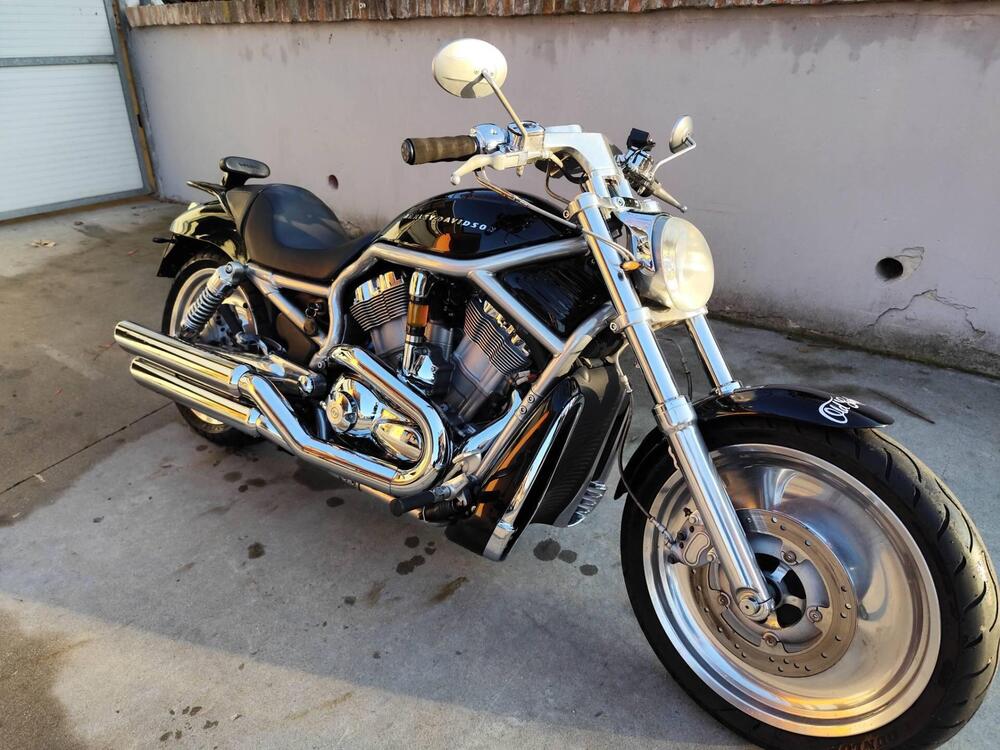 Harley-Davidson 1130 V-ROD (2002 - 05) - VRSCB (5)