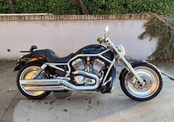 Harley-Davidson 1130 V-ROD (2002 - 05) - VRSCB usata