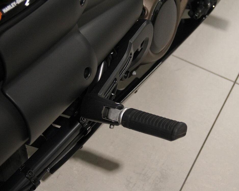 Harley-Davidson Sportster S (2022 - 24) (5)