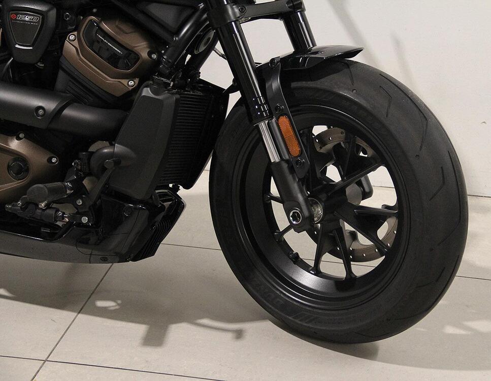 Harley-Davidson Sportster S (2022 - 24) (2)