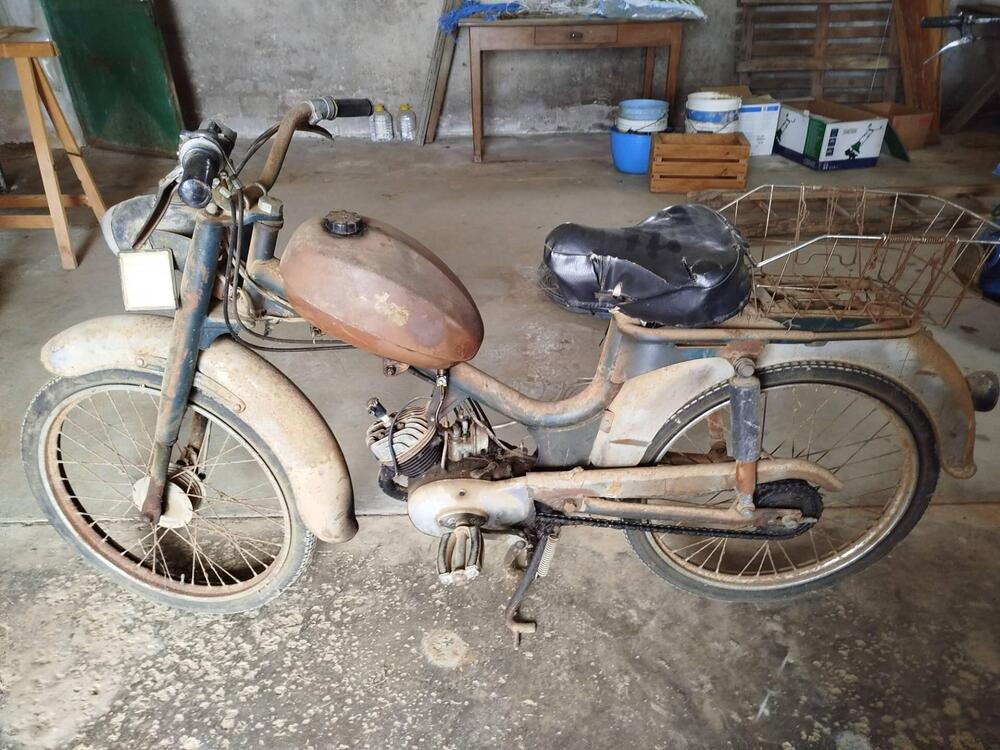 Peripoli Giulietta FP - 4