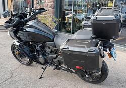 Harley-Davidson Pan America 1250 Special (2020 - 25) usata