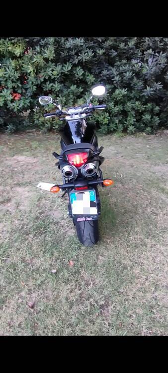 Yamaha FZ6 S2 (2007 - 11) (5)