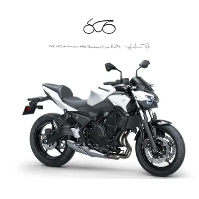 Kawasaki Z 650 (2025 - 26) nuova