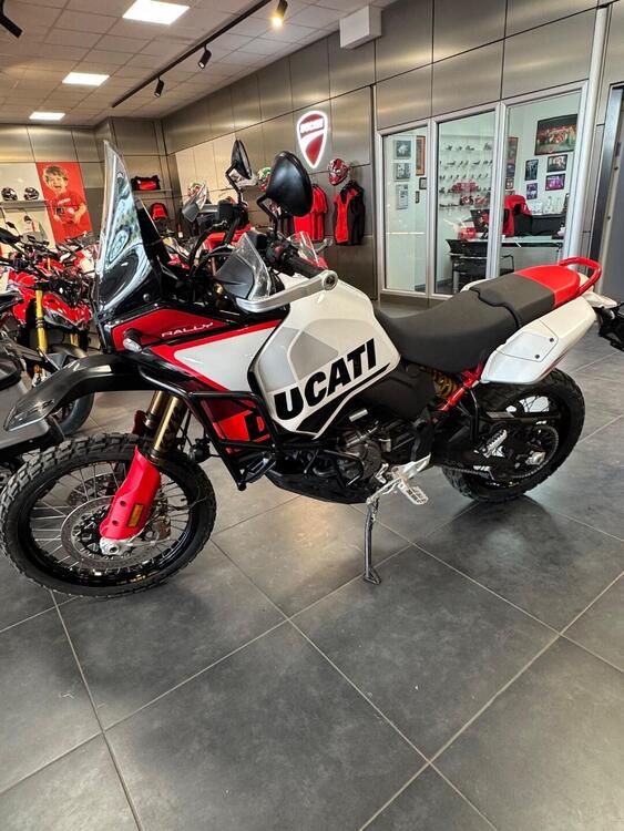 Ducati DesertX Rally (2024 - 25) (3)