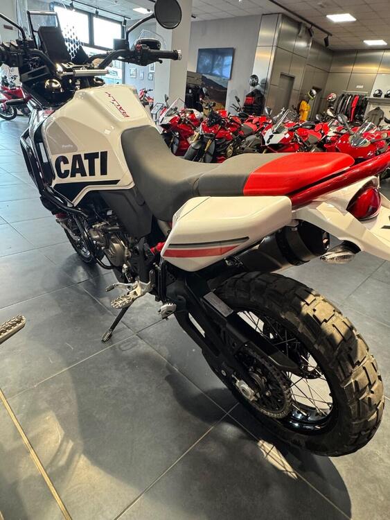 Ducati DesertX Rally (2024 - 25) (2)