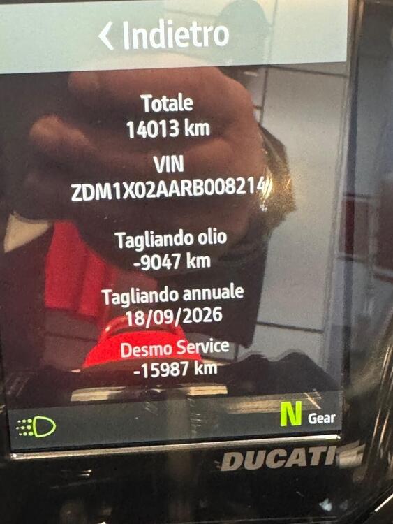 Ducati DesertX Rally (2024 - 25) (4)