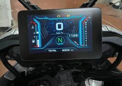 QJ Motor SRT 800 X (2023 - 24) usata