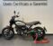 Ducati Scrambler 800 Icon (2023 - 25) (6)