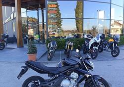 Kawasaki ER-6N (2006 - 09) usata