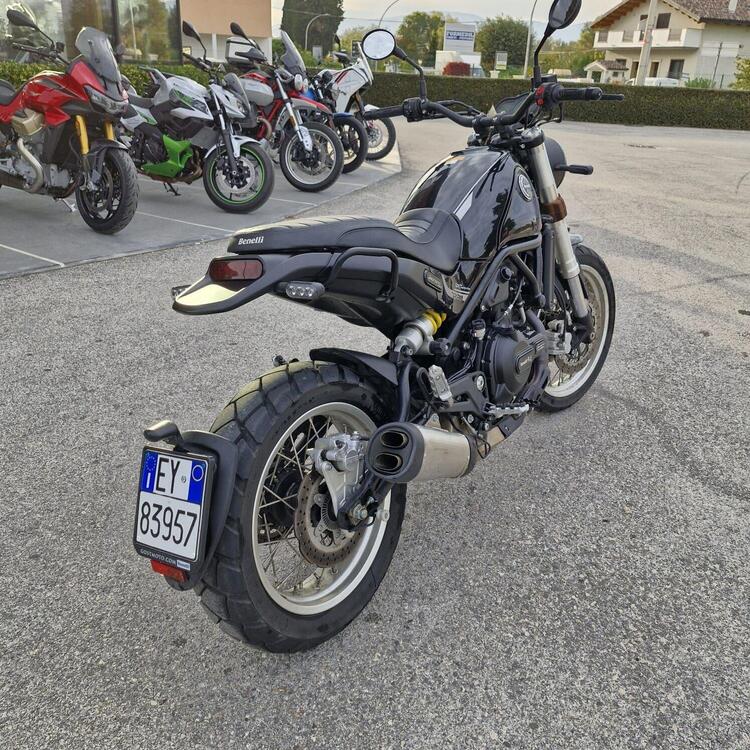 Benelli Leoncino 500 (2021 - 25) (3)
