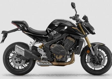 QJMotor SRK 800 Dark Edition: look accattivante e super prezzo, ma solo in Francia!