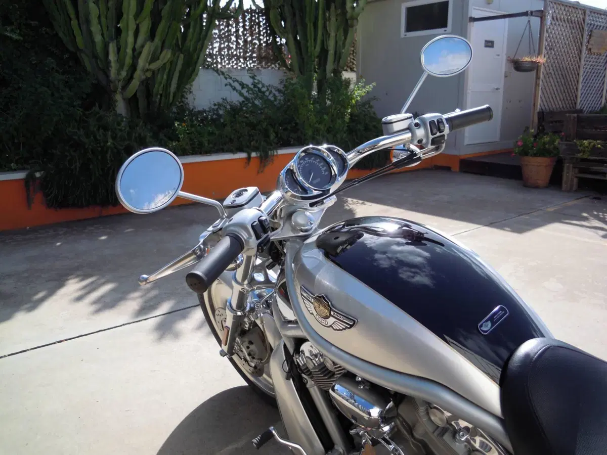 Harley-Davidson 1130 V-Rod (2002 - 05) - VRSCA (7)