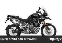 Triumph Tiger 1200 Rally Pro (2024 - 25) usata