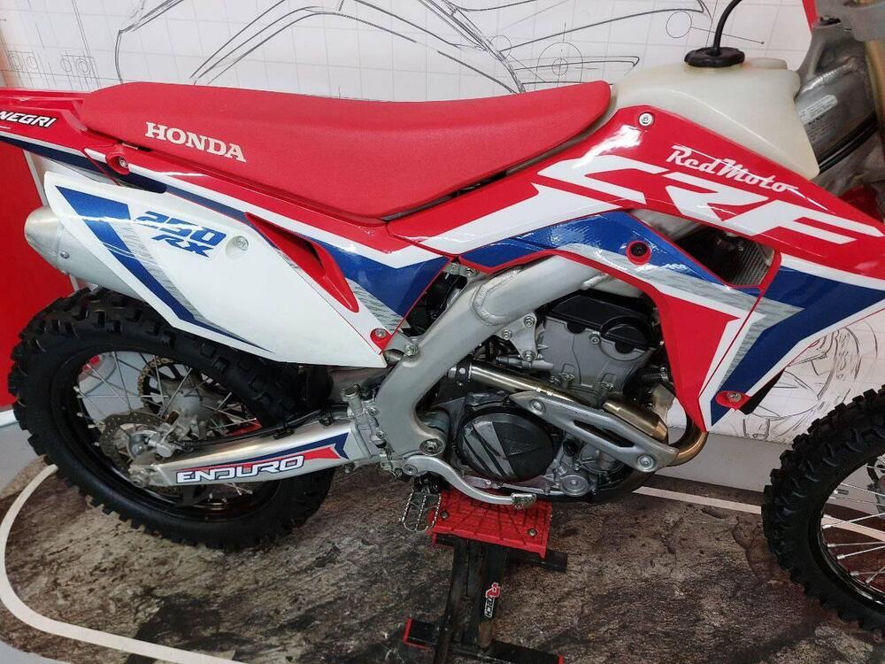 Honda CRF 250 RX Enduro (2019) (2)