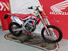 Honda CRF 250 RX Enduro (2019) (6)