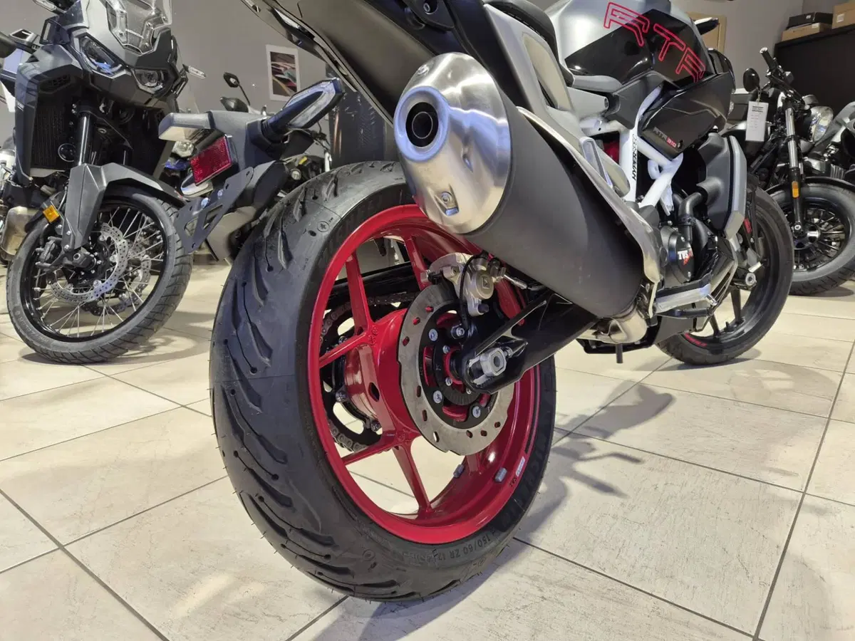 TVS Motor RTR 310 (2024 - 26) (15)