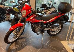 Betamotor Alp 4.0 (2008 - 17) usata