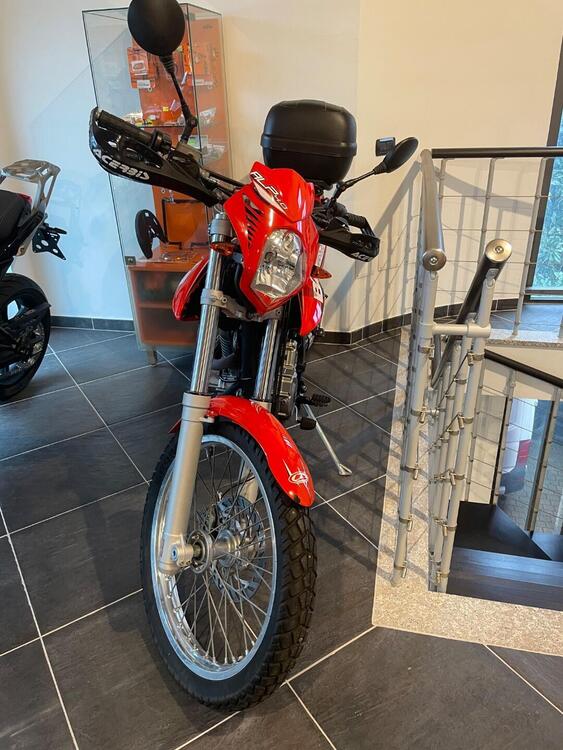 Betamotor Alp 4.0 (2008 - 17) (3)