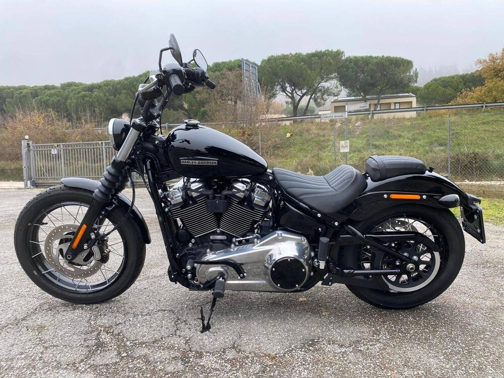 Harley-Davidson Street Bob 117 (2025) (3)