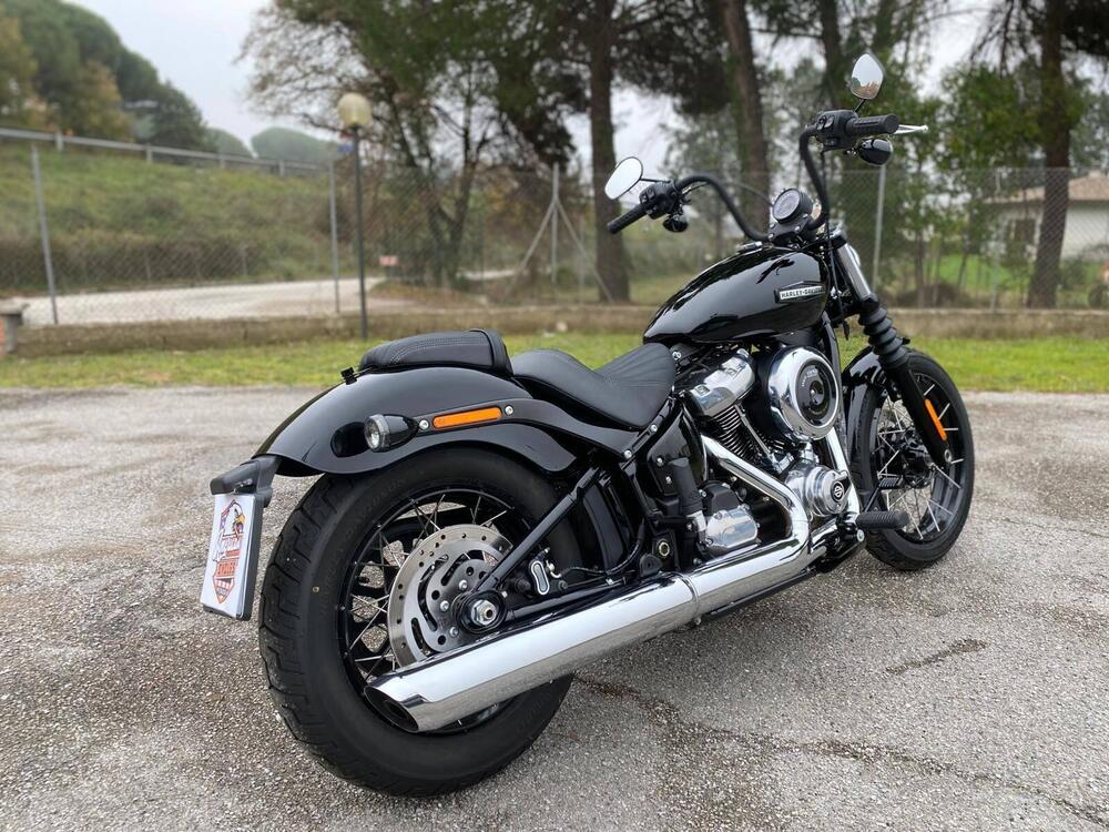 Harley-Davidson Street Bob 117 (2025) (4)