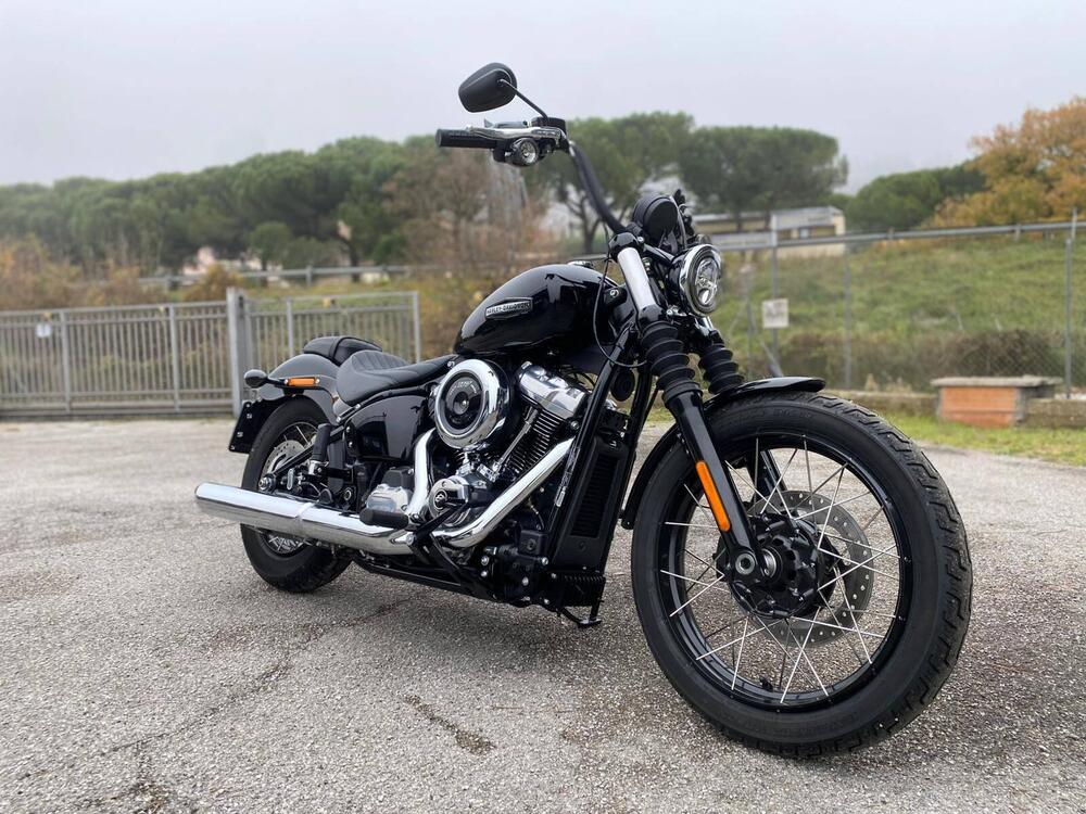 Harley-Davidson Street Bob 117 (2025) (2)
