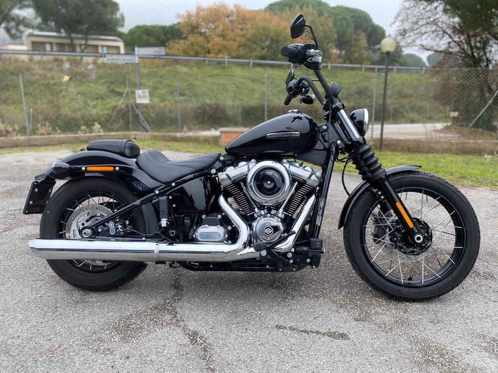 Harley-Davidson Street Bob 117 (2025)