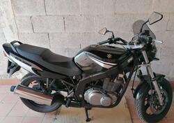 Suzuki GS 500 (2001 - 06) usata