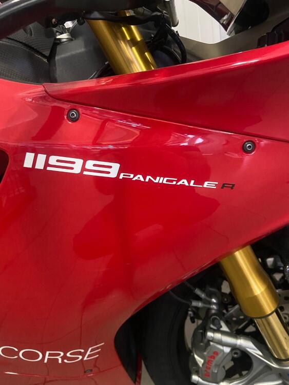 Ducati 1199 Panigale R ABS (2013 - 17) (4)
