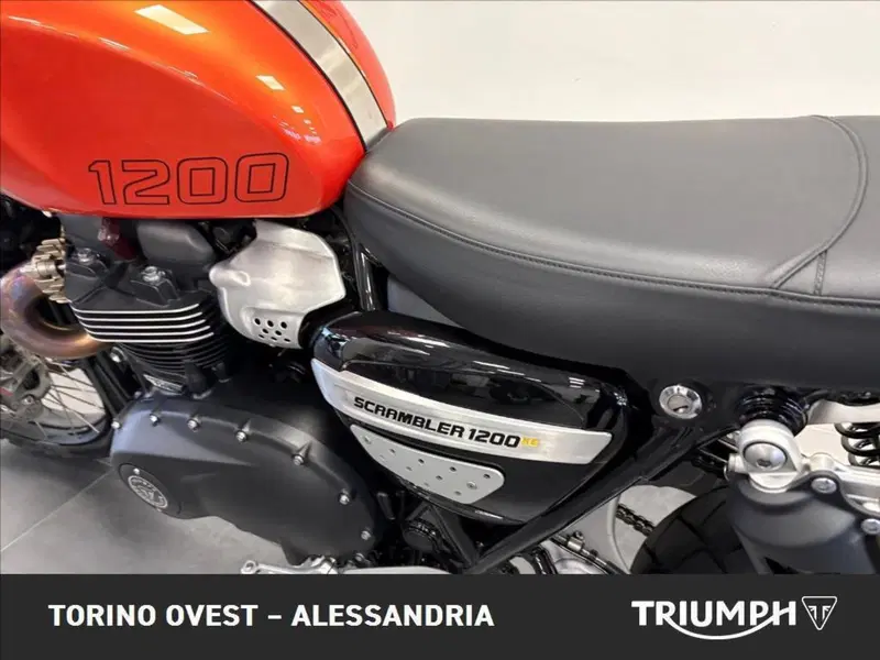 Triumph Scrambler 1200 XE (2024 - 25) (7)