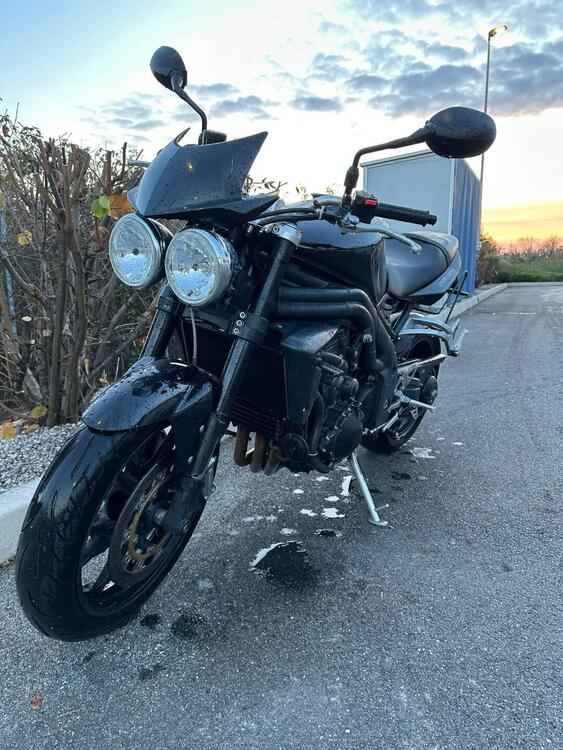 Triumph Speed Triple 1050 (2005 - 11) (3)
